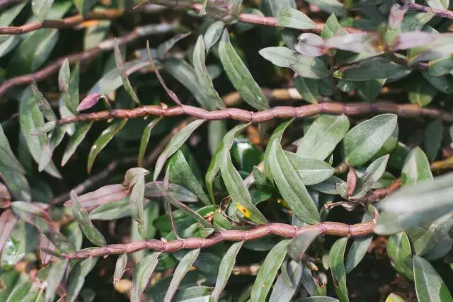 18d8bc3eb13533fa9ef72e76a3d3fd1f41345b20.jpg 18d8bc3eb13533fa9ef72e76a3d3fd1f41345b20.jpg